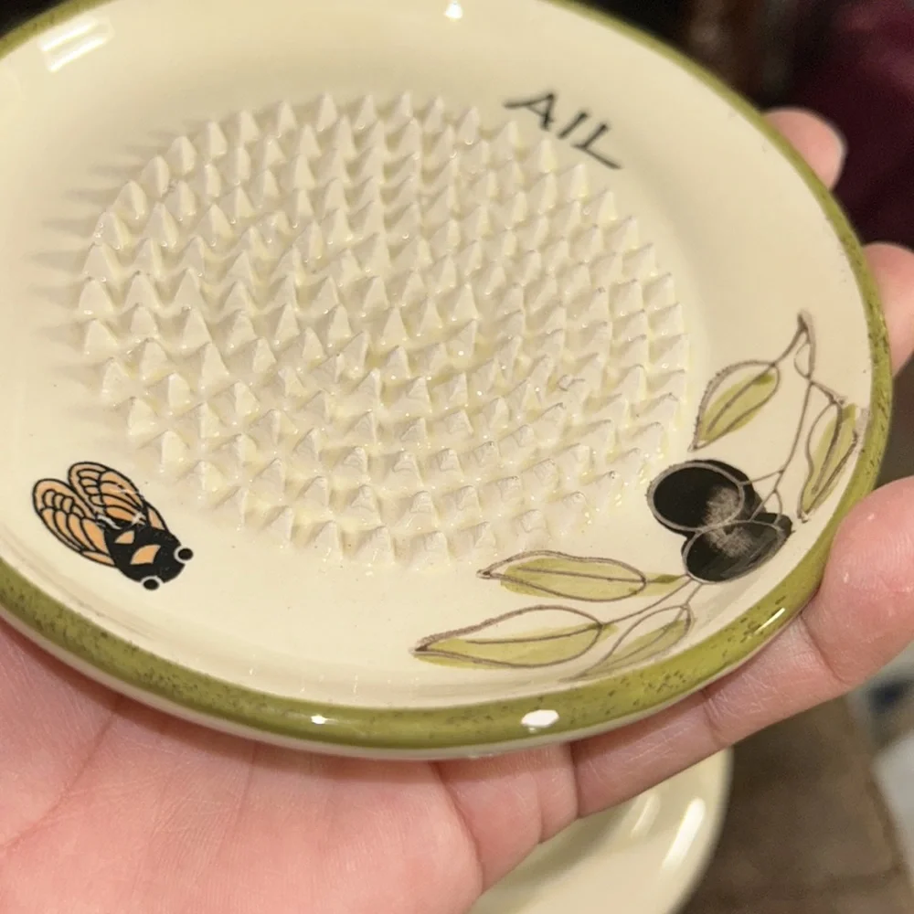 NWT Ceramic Hand Made Garlic Grater, Zester Plate